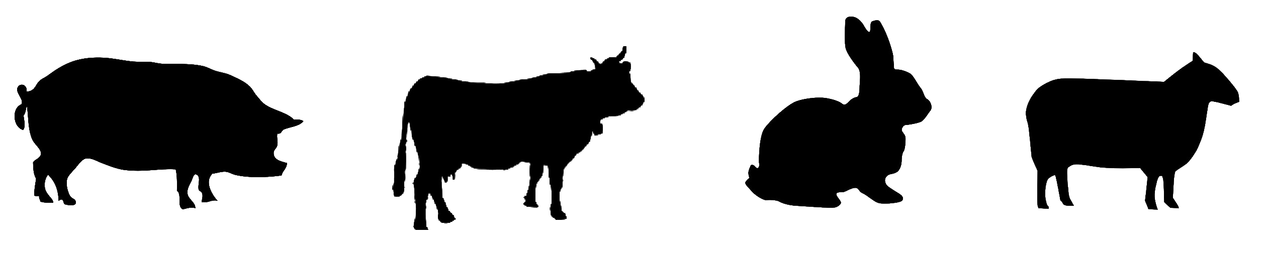 animales